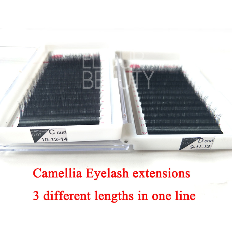 New design OEM brand camellia eyelash exensions beauty supplies EL32